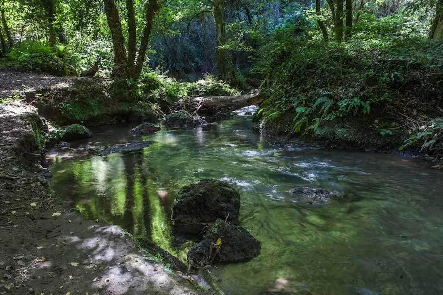 Agriturismo Villa Amerina Corchiano Экстерьер фото