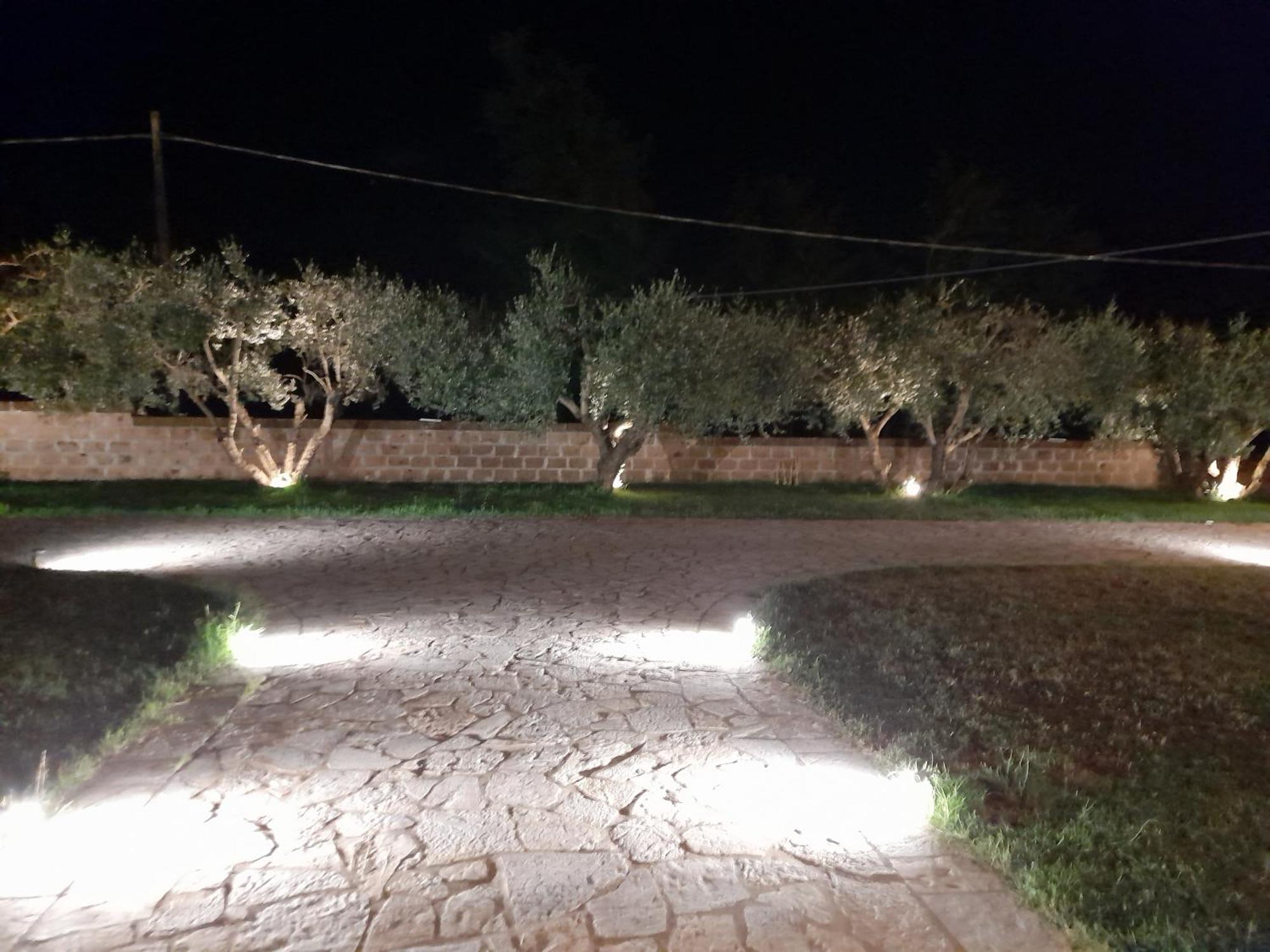 Agriturismo Villa Amerina Corchiano Экстерьер фото